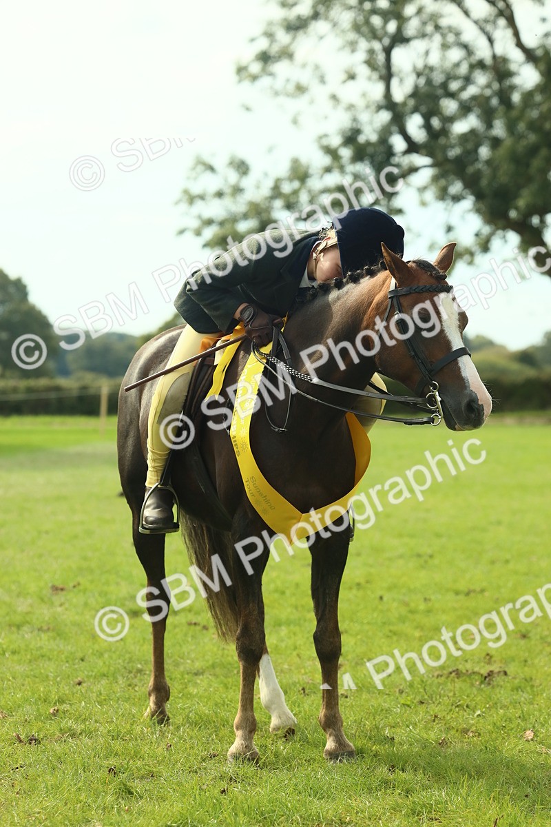 SBM_68151 - S57 - Part Bred Pony Ridden