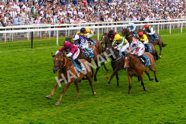 170623-Race 6-Mostawaa-0887 - Race 6 4.50pm Ice Co Supporting Macmillan Handicap