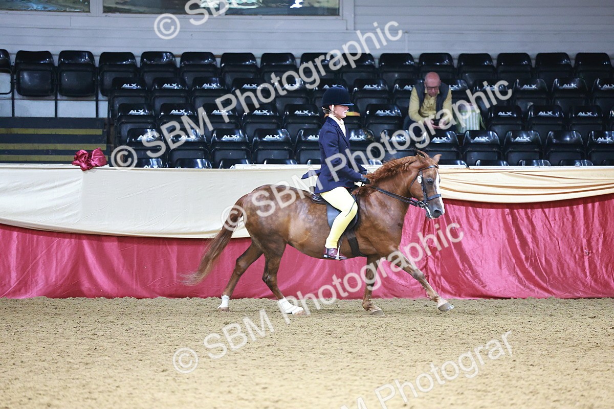 SBM_23331 - Class 904 - Supreme Final - Ridden Diamond