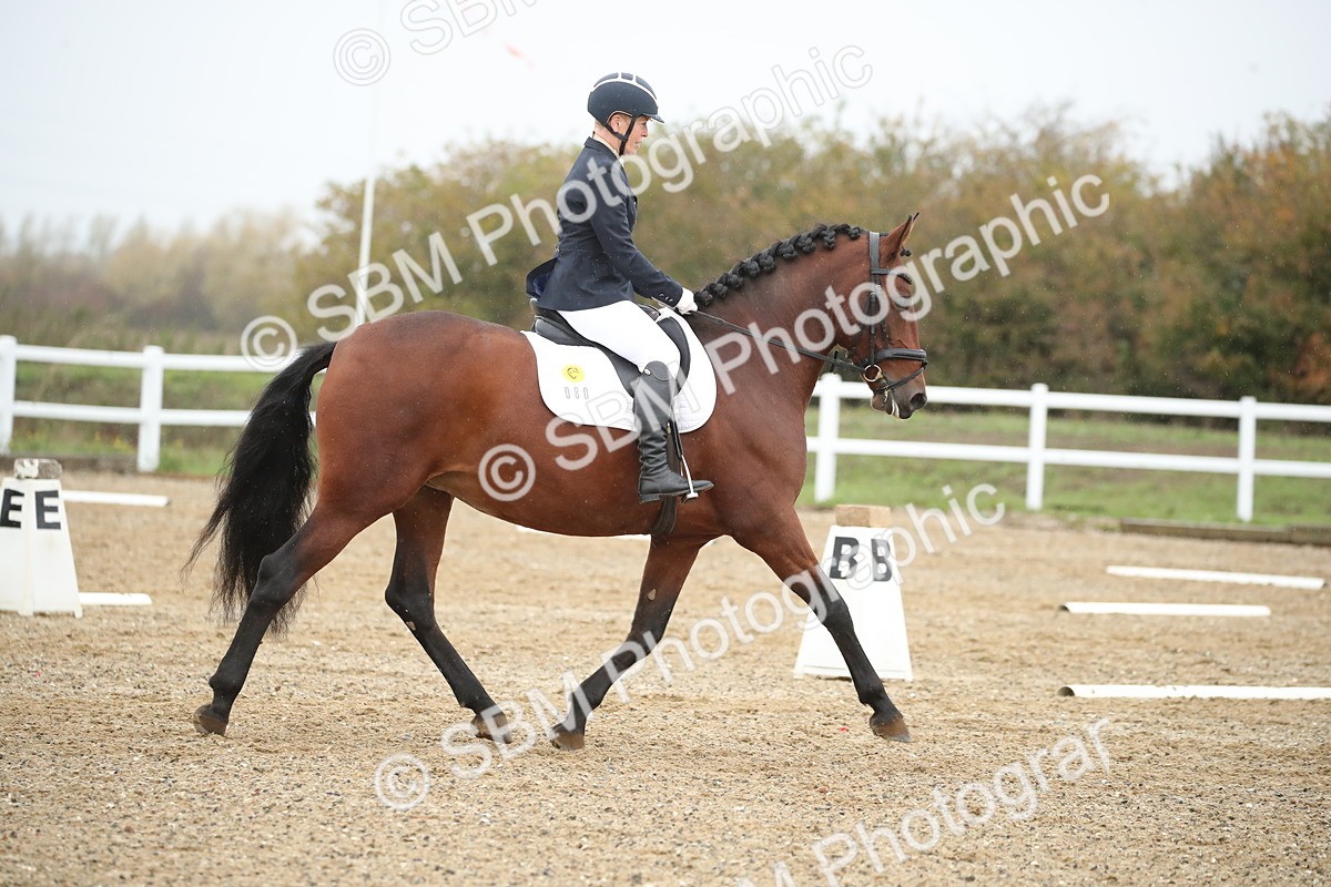 SBM_001640 - Prelim 2
