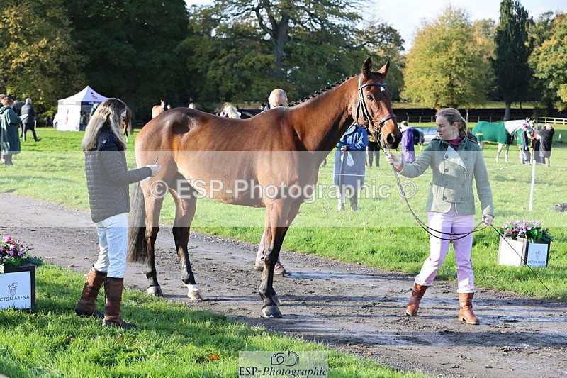 251026A-094957-22515 - D-312-Laura.Sharpe