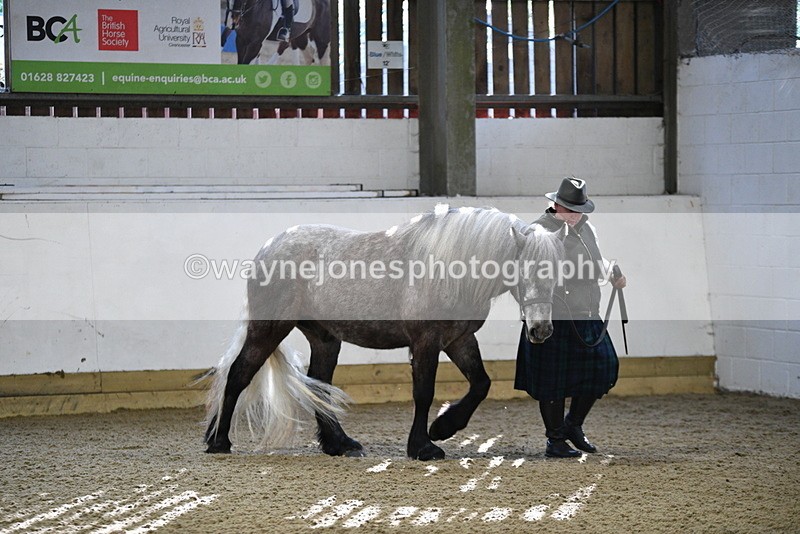 WJ5_3338 - Class 1 Youngstock