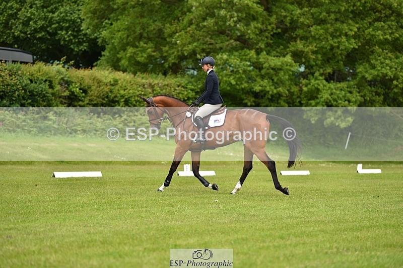 240523B-125702-02295 - 5 Year Old