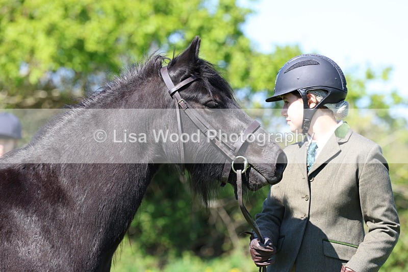 3E7A9875 - Class 17: Young Handler