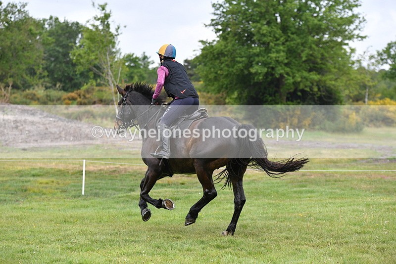 WJ5_4489 - Time 10:09 to 10:37