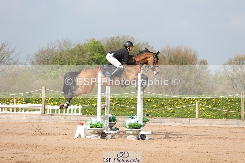 250424-103017-03057 - Cls 33 Young Horse 7yr old