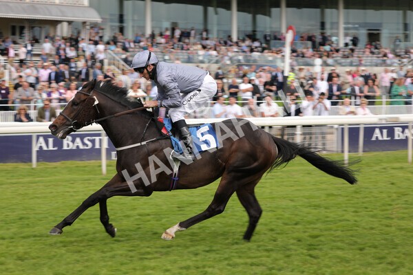 yr11062021r5-22 - Race 5 4.00pm Sky Bet Ganton Stakes