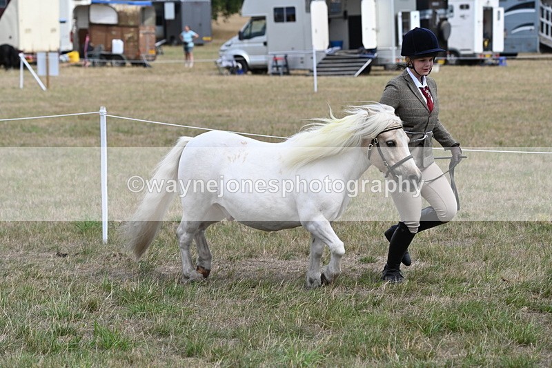 WJ6_5958 - Class 19 In-hand Veterans (Uploaded correct folder)