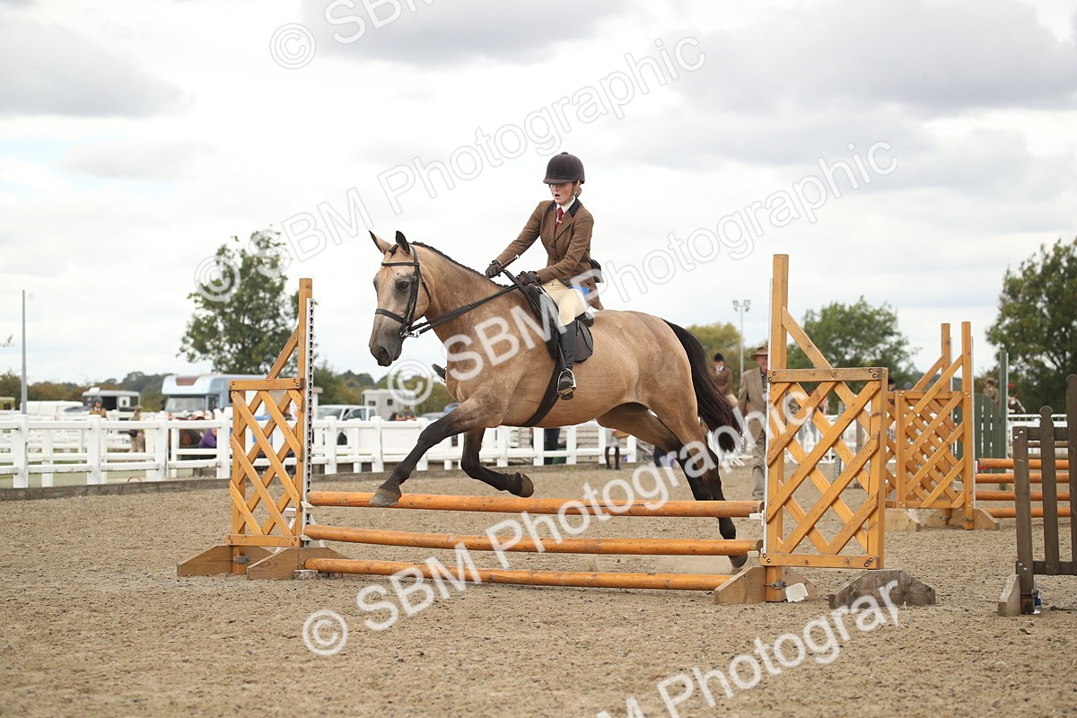 SBM_16661 - Class 507a - Working Veteran - 60cm (15-19)