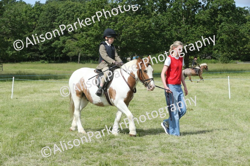 20260614-0246 - Class 1 - 30cm Lead Rein