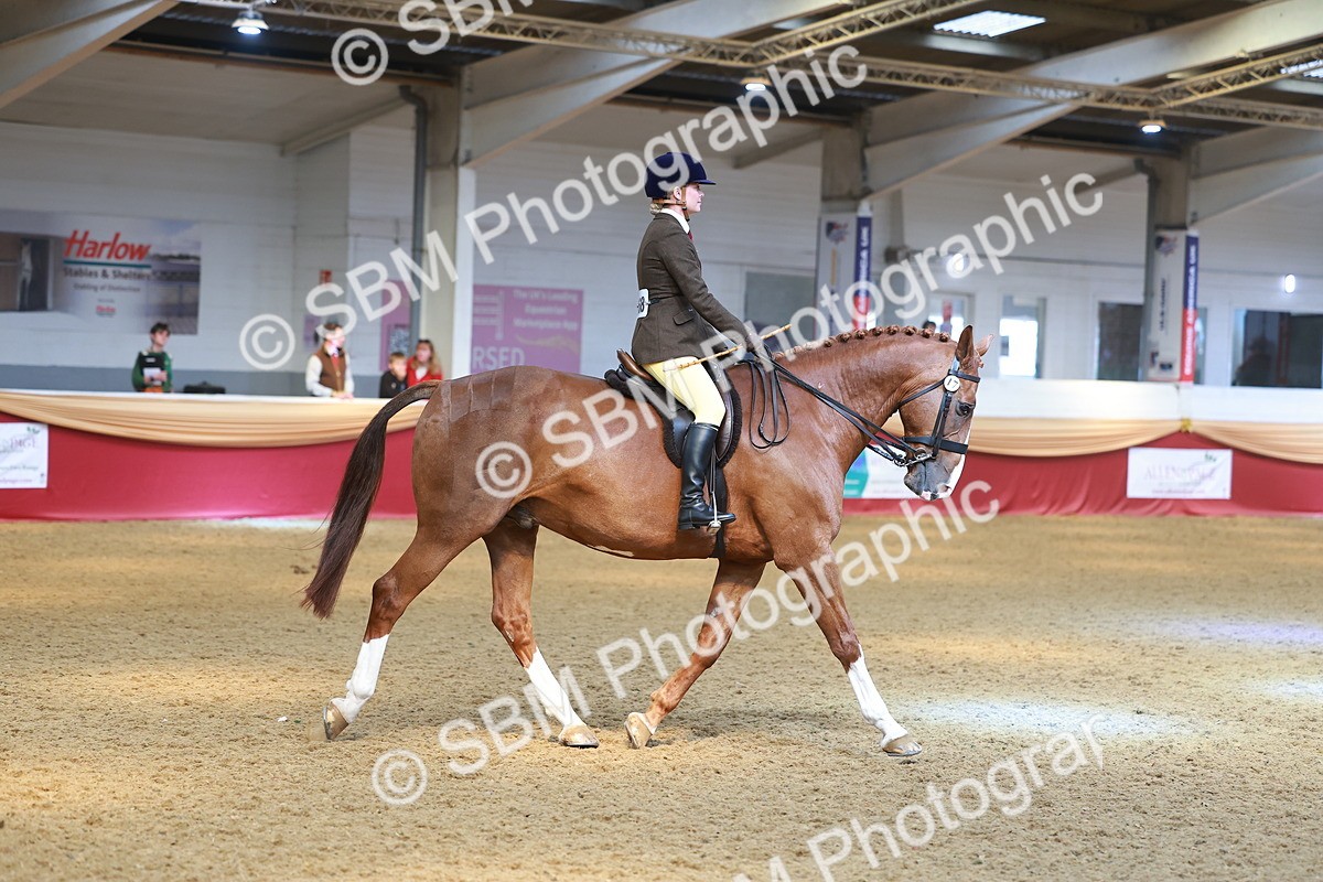 SBM_12578 - Class 103 - HOYS Veteran Qualifier - Ridden Pre Vet