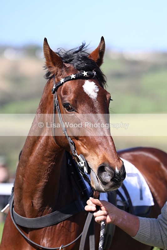 3E7A5234 - Race 4:  Maiden