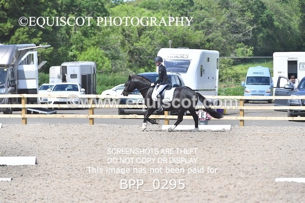 BPP_0295 - SHORT ARENA  MY QUEST PRELIM