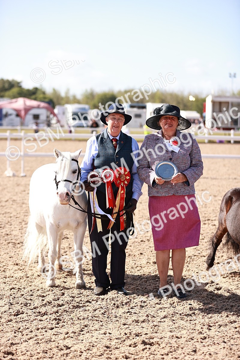 SBM_22830 - Class 705 - IH Combination 65+