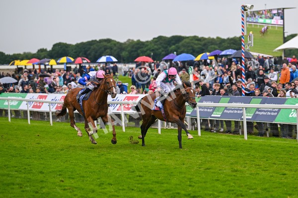 150624-Race 3-Klondike-7095 - Race 3 3.00pm Sky Bet Race To The Ebor Grand Cup Stakes