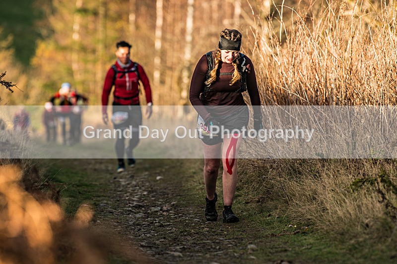 Tweed Valley-481 - High Terrain Events Tweed Valley 50 & 65K Ultra Trail Races Sunday 16th November 2025