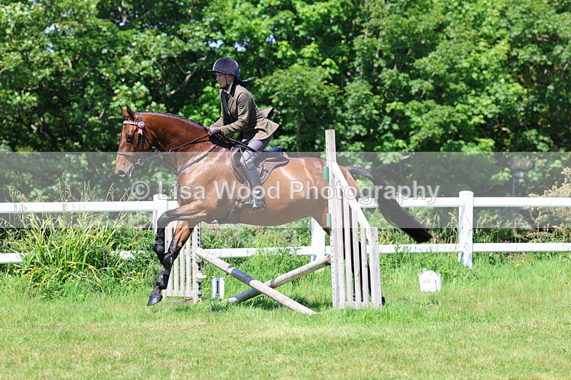 3E7A7447 - Class 31: Working Hunter Cob/Riding Horse