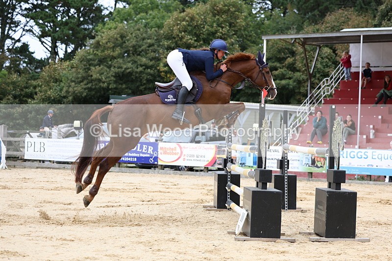 3E7A3364 - Class 9: Senior Foxhunter/1.20 open