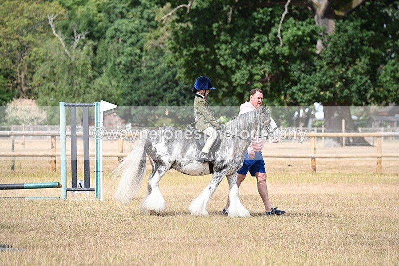 WJ6_7565 - Class 9 Tack and Turnout