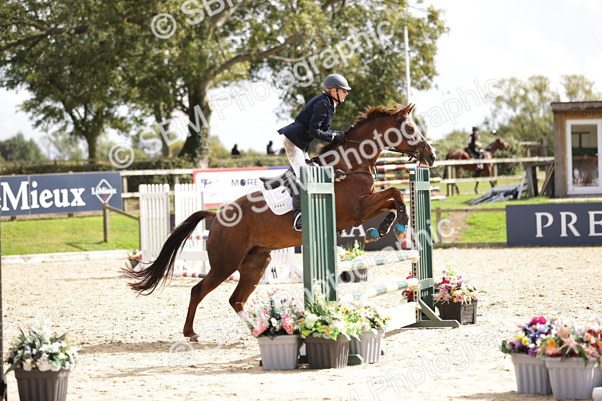 SBM_22386 - J59 - Clear Round 85cm