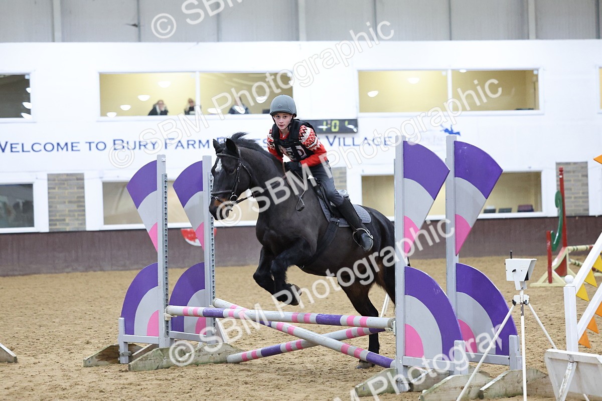 SBM_001163 - Class 3 - Christmas Tree Stakes - 60cm