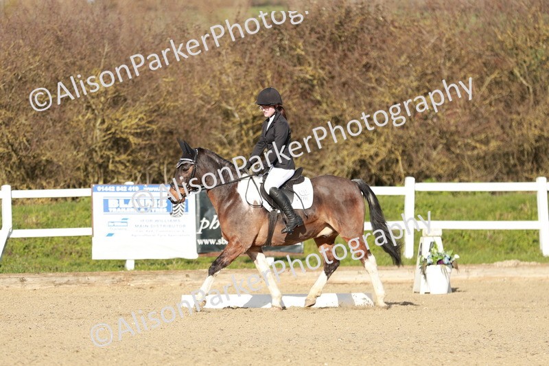 20260314-5286 - DR4 - Prelim 2