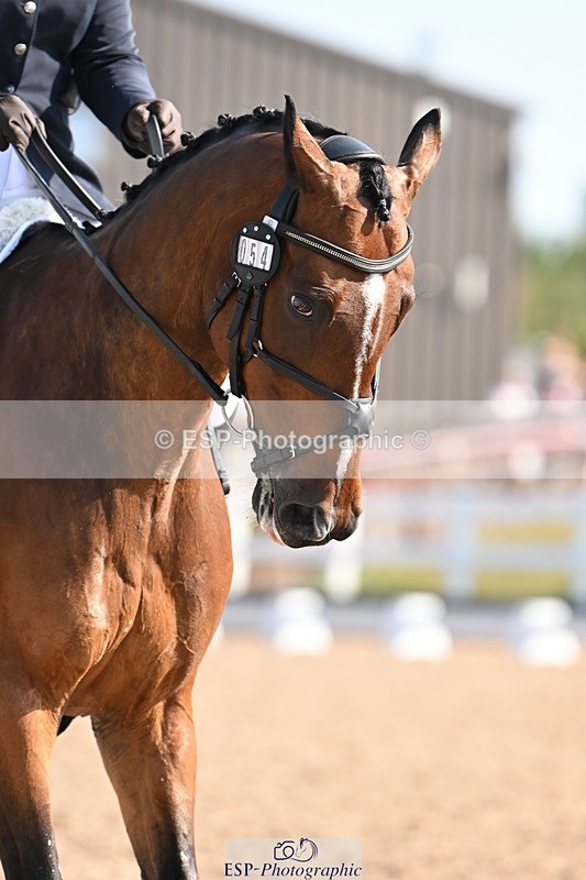 250816-101228-03323 - 054-Ella.MatraversBallymitty.Mac