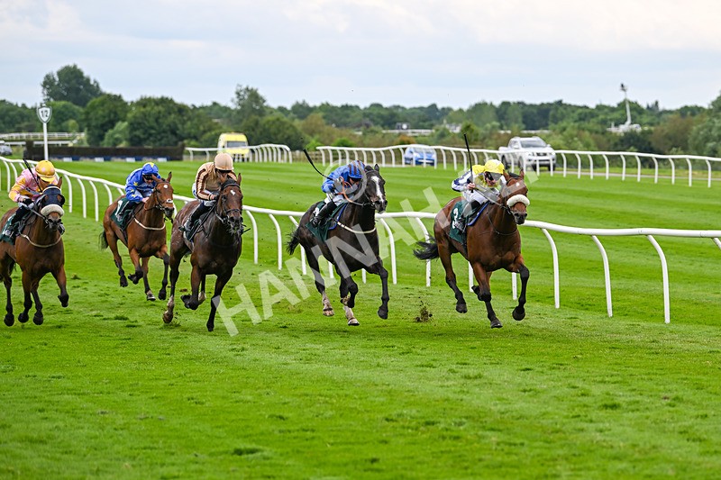 180624-Race 4-Animate-0425 - Race 4