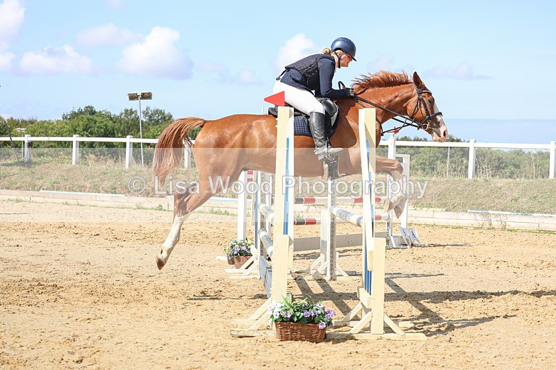 3E7A1100 - Class 4: Senior British Novice/90cm open