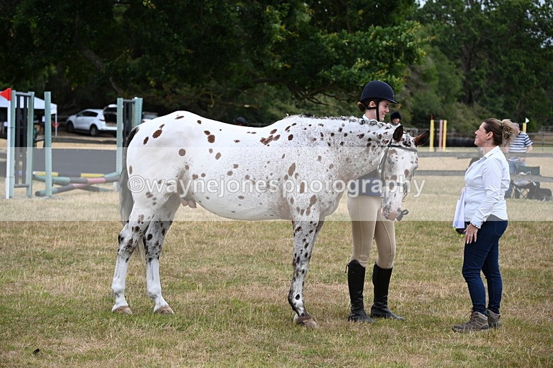 WJ6_4272 - Class 10 Coloured In-hand