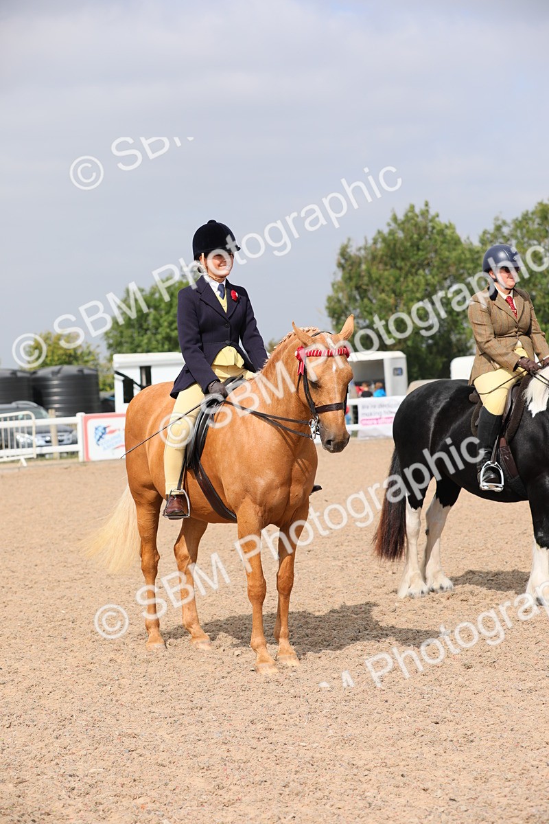 SBM_12833 - Class 307 Ridden Coloured Pony