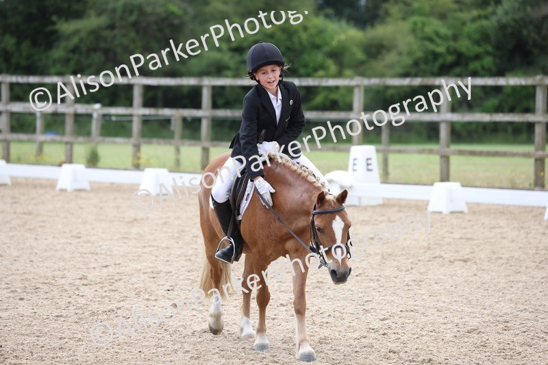 20250614-0628 - Class 5 - Novice 3