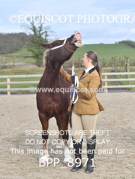 BPP_8971 - RING 2 - M&M