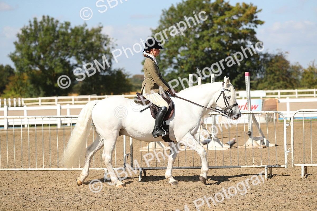 SBM_03111 - Class 44 Riding Club Horse/ Pony