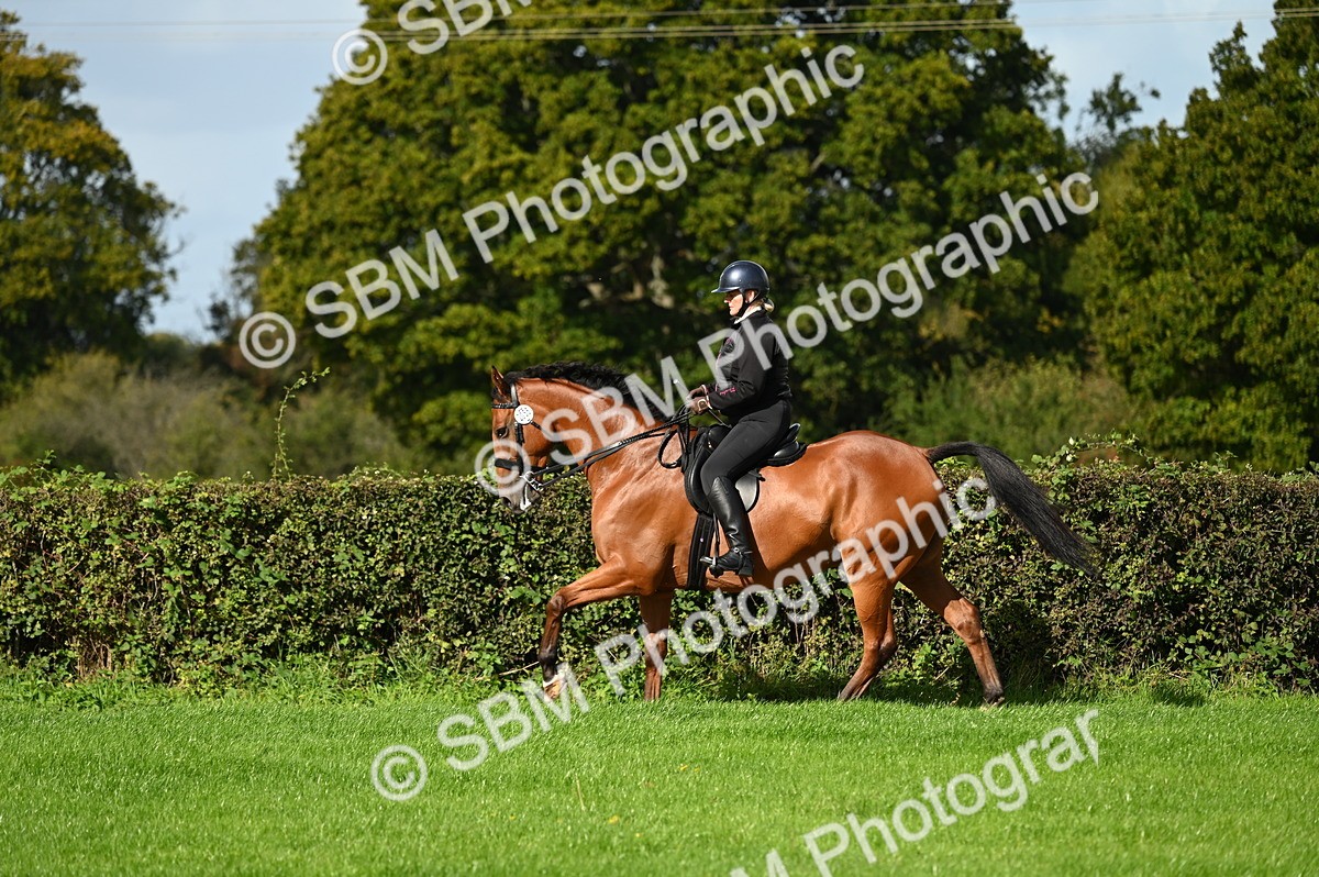 SBM_01609 - S2 - TSR Ridden Horse Showing