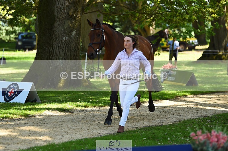 230524-152730-00279 - 329-VINTAGE_GRAFFITI-Alice_Hallows-WEDTrotUp+DR