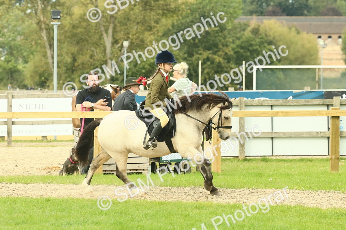 SBM_69949 - S59 - Mountain & Moorland Ridden Small Breeds