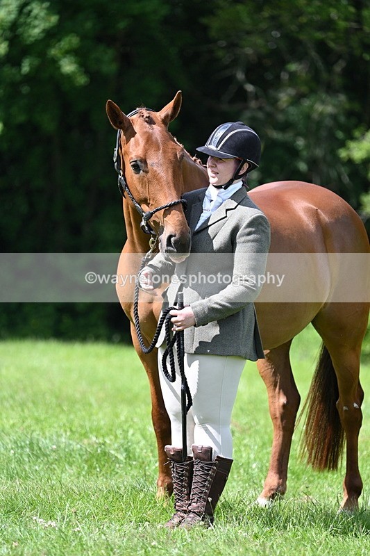 WJ7_1477 - Class 11 Condition & Turnout