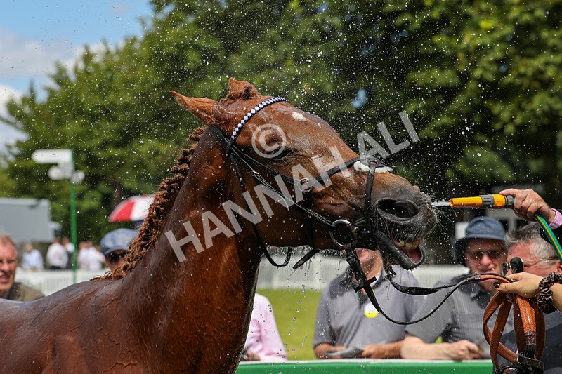 240624-Race 2-Fayqa-0158 - Race 2