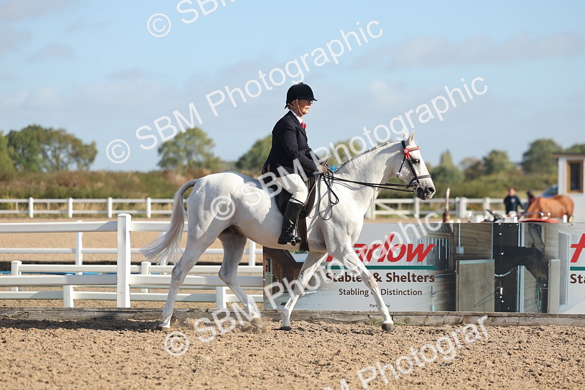 SBM_22271 - Class 803 - Ridden Combination 65+