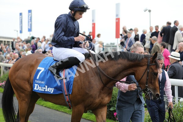 yr18082022r4-15 - Race 4 3.35pm Darley Yorkshire Oaks (British Champions Series Race)