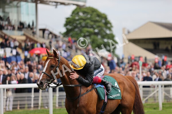 yr13052022r4-79 - Race 4 3.35pm The Paddy Power Yorkshire Cup (British Champions Series Race)