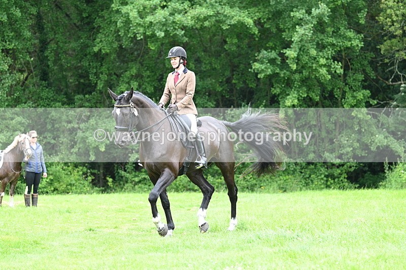 WJ7_4106 - Class 14A Handsome Gelding