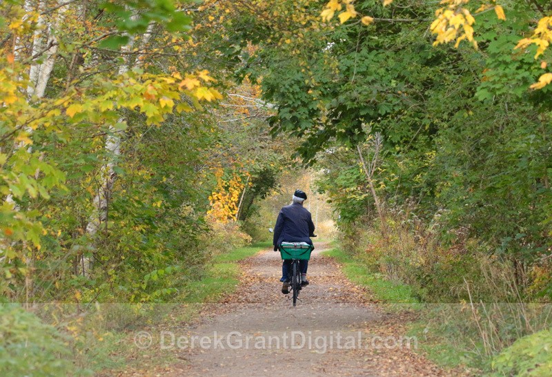 Early Autumn Cyclist