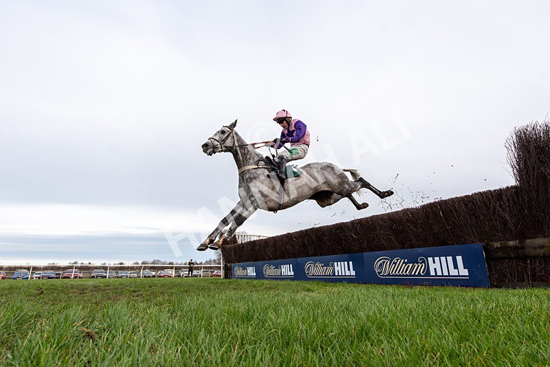 010126-Race 2-El Muchacho-4462 - Race 2