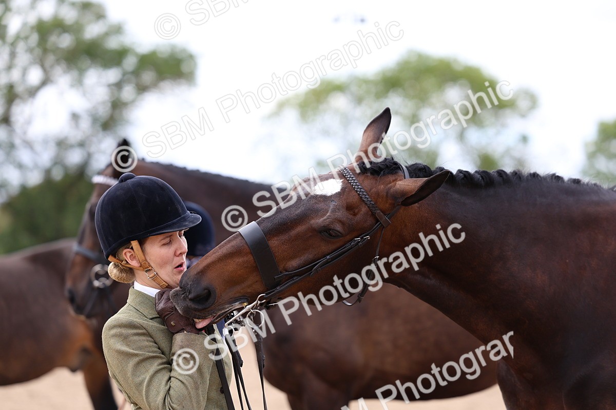 SBM_05779 - Class 28 - IH Veteran Horse