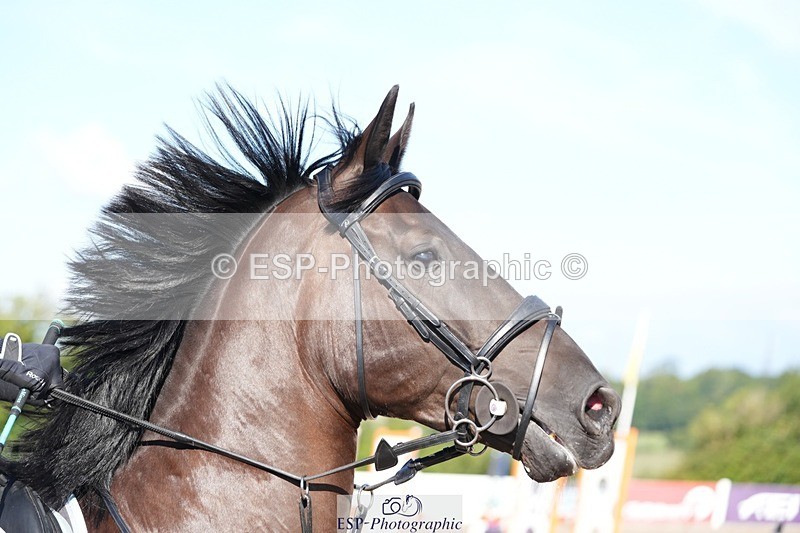 250802-090821-08250 - Cls 19 British Novice and 90cm Open