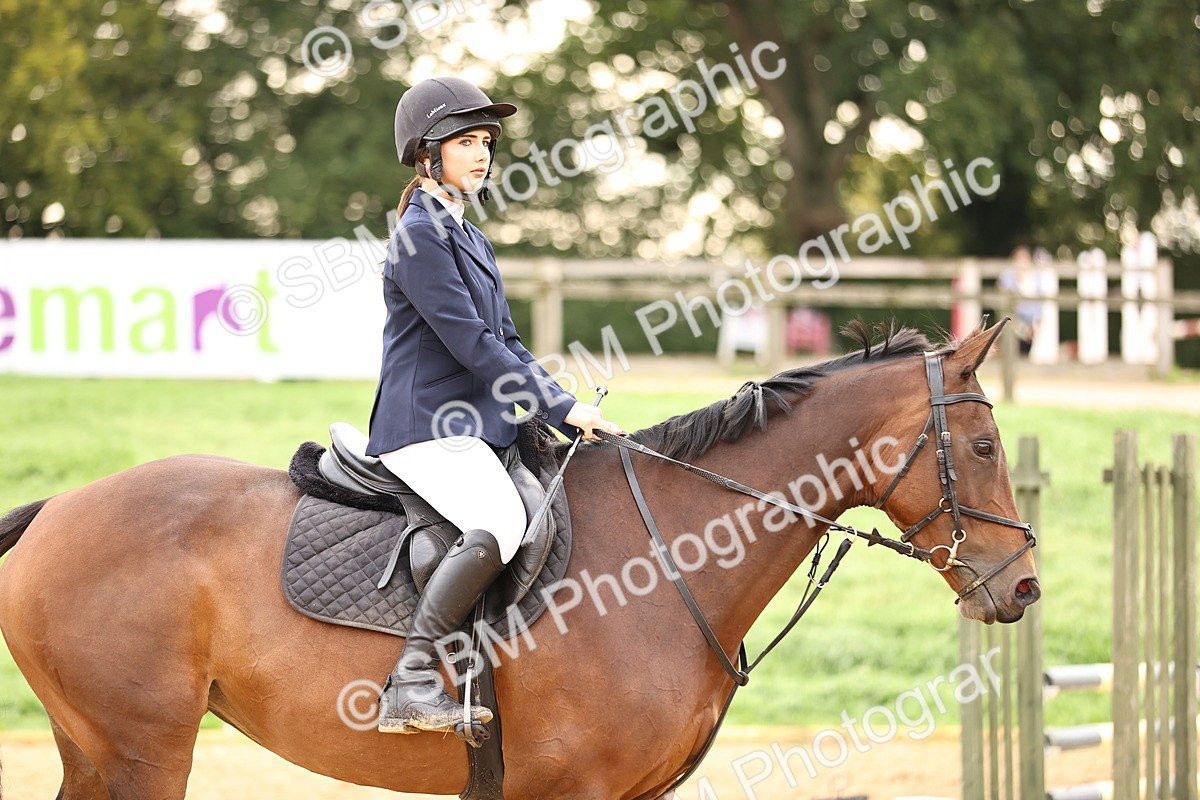 SBM_58353 - J41 - Grand Tour Horse & Pony 95cm