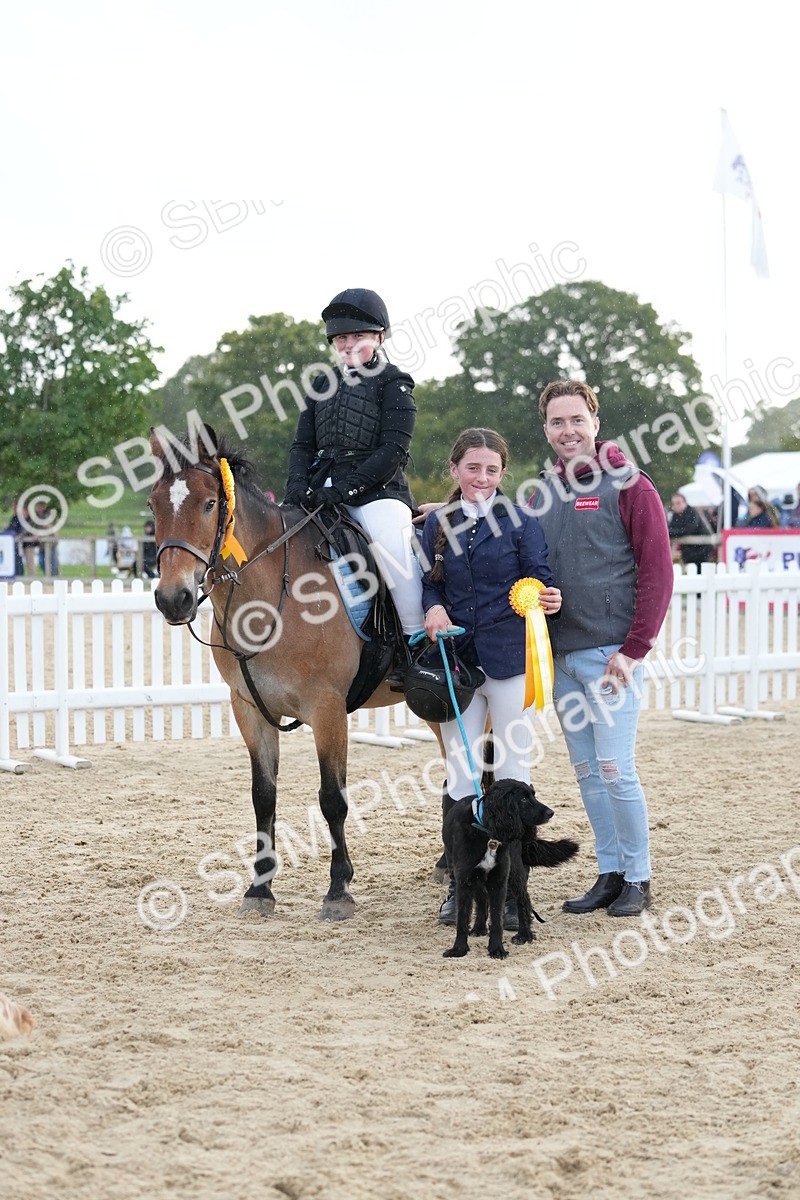 SBM_29228 - J43 - Horse & Hound Open 50cm