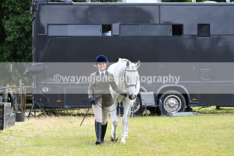 WJ7_6848 - Class 5a Most Handsome Gelding in Hand